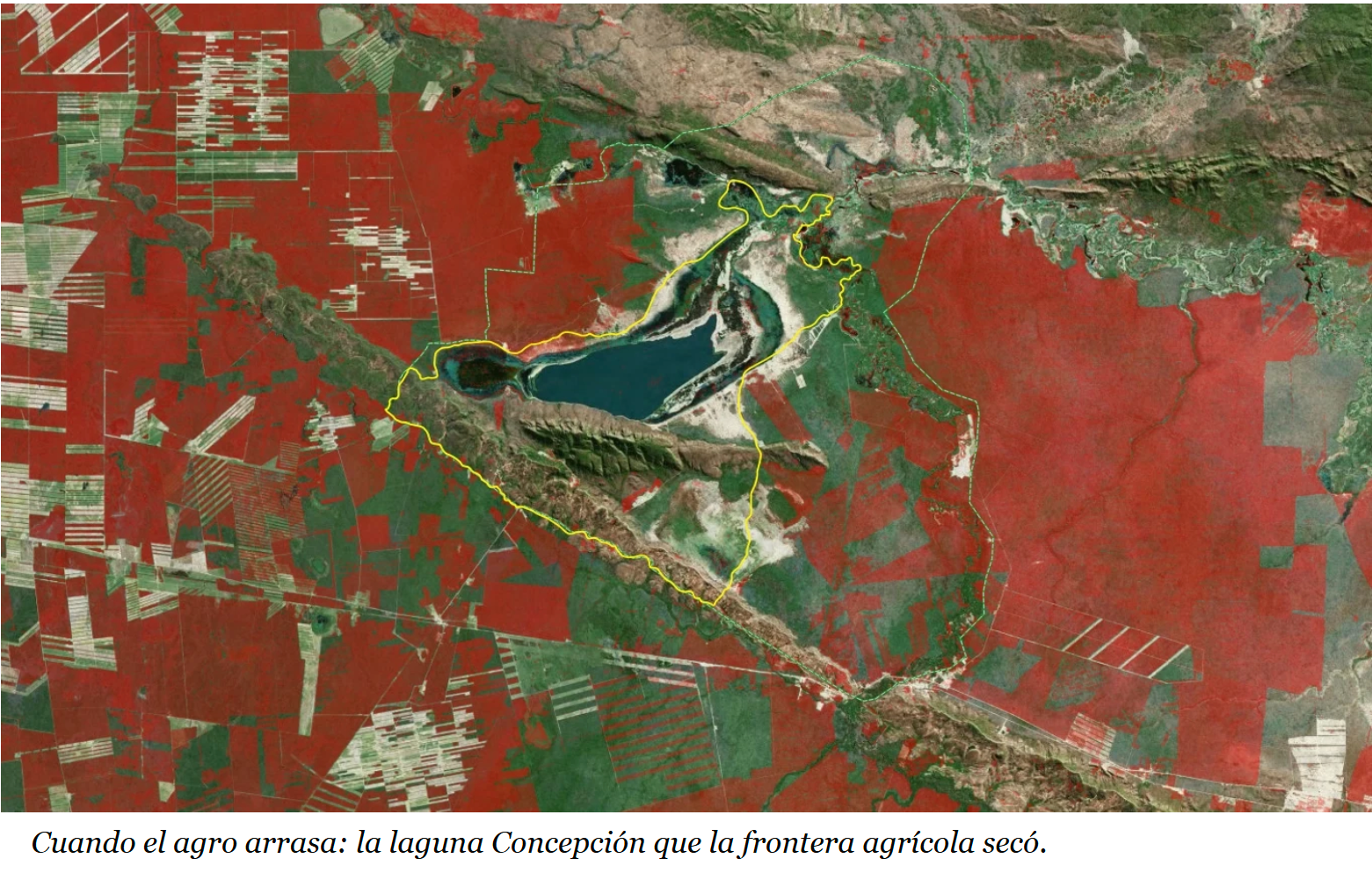satellite orthophoto